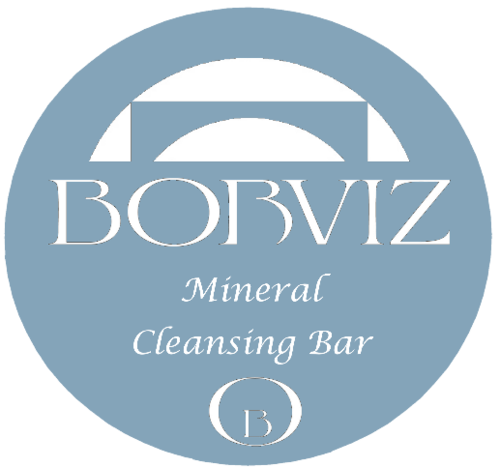 Borviz Essential Cleansing Bar